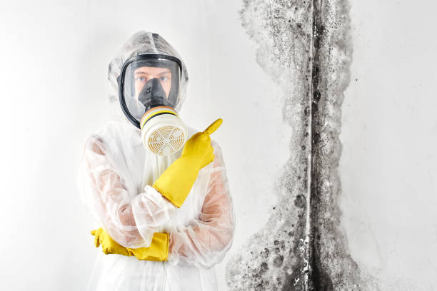 Why You Should Choose Our Mold Remediation Services in Russell, GA